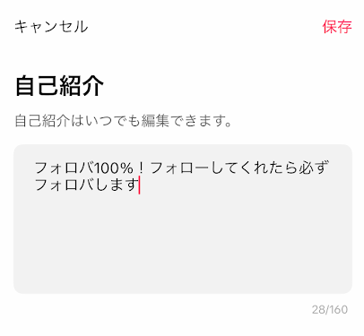 TikTokの自己紹介登録画面